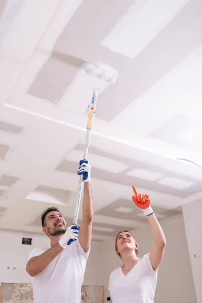 Best Mold Damage Restoration  in Limestone Creek, FL