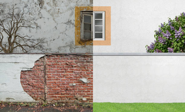 Best Real Estate Mold Inspection  in Limestone Creek, FL