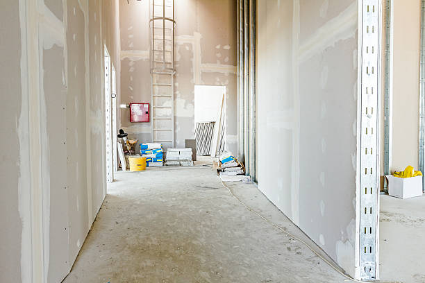 Best Industrial Mold Remediation  in Limestone Creek, FL